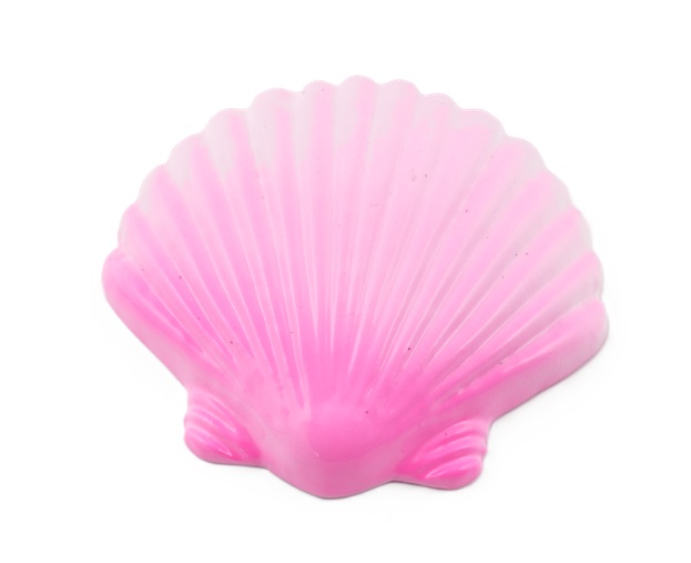 1Kg Weight - Shell Shaped - Pink (Ai0668PK)