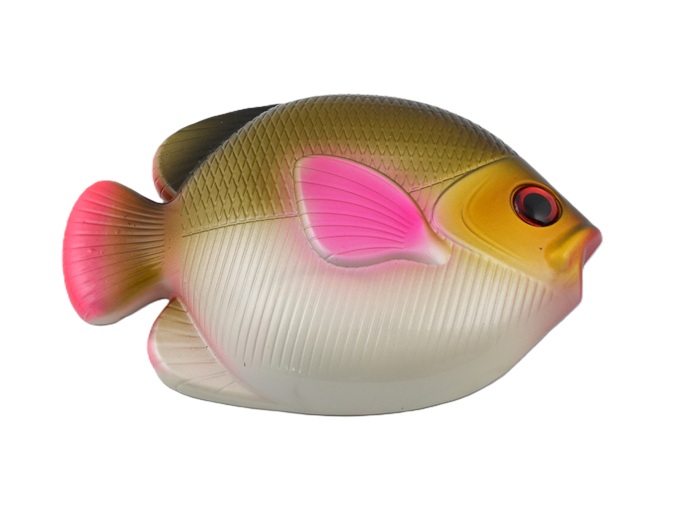 1Kg Weight - Black Fish Shaped - Black Top (Ai0669BK)