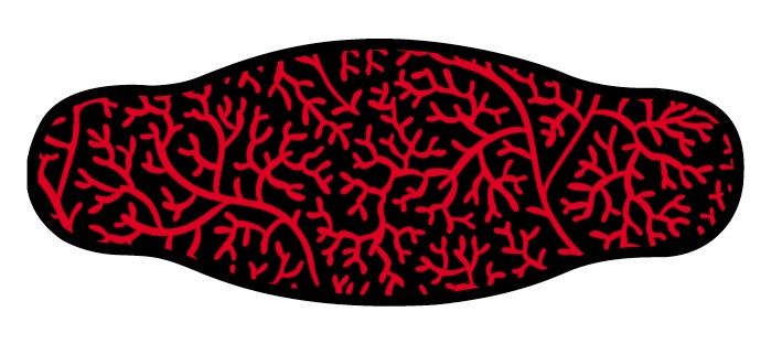 Neoprene Mask Strap - Reef - double layer (IN/REEF)