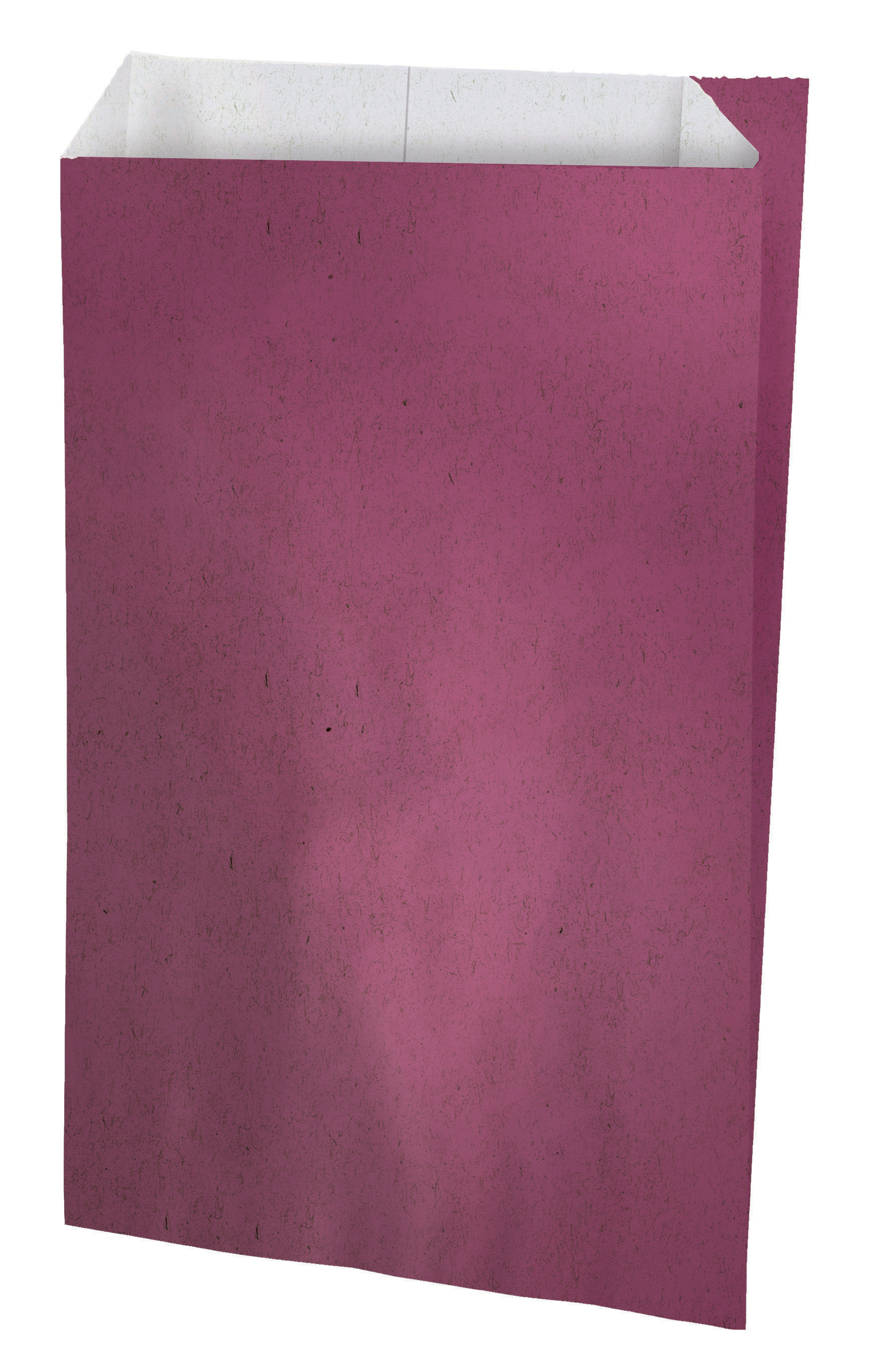 Raisin Recyled Paper Pouch - 16 x 27 x 8cm (Box of 200) - BOP-27216